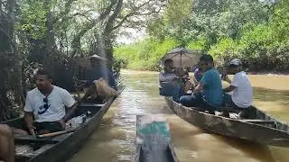 রাতারগুলের আনন্দ - Ratargul Swapm Forest