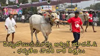 రెంటచింతల న్యూ కేటగిరి 4జత. పిన్నబోయిన సూర్య అశ్విక్ యాదవ్.&. ధర్మతేజ చౌదరి గారు సత్తెనపల్లి