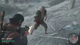 DAYS GONE - Infestation Exterminator - Berley Lake Infestation