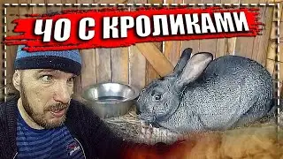 Чо с кроликами? \\ Старая столешня оставлена. \\ Фиксируем встройку.