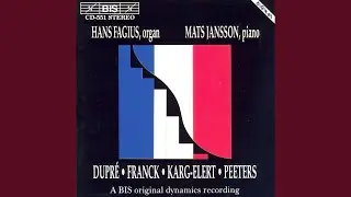 Concerto for Organ and Piano, Op. 74: II. Arioso