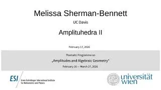 Melissa Sherman-Bennett - Amplituhedra II - Amplituhedron basics and big questions