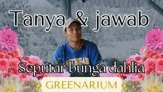 Tanya & Jawab Seputar Bunga Dahlia