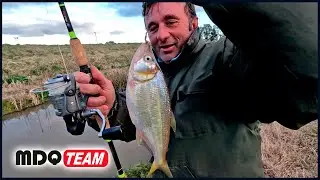 PESCA DE ARROYO CON EL CAMPEON MUNDIAL DE PESCA DE CARPAS