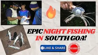🔥 Epic Night Fishing Adventure in Chinchinim, South Goa! 🎣 8 Fish + 15 Crabs 🦀 Lost Track