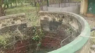 3 Ackers of coconut farm with free eb service at Ambur veerankuppam con .8667353280