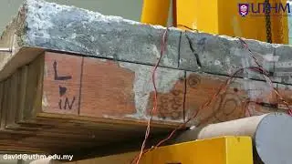 1-MILLION CYCLES FATIGUE TEST ON TIMBER-CONCRETE COMPOSITE FLOOR