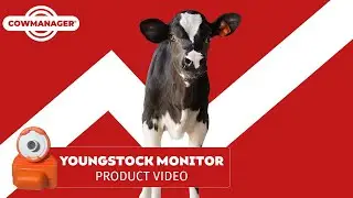CowManager Youngstock Monitoring | Monitor Behavioral Development from Calf to Cow