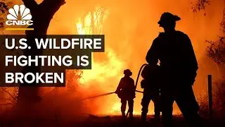 How The U.S. Battles Wildfires And Why Innovation Is Needed