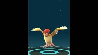 Pokemon Go Trick to Gain Double XP While Evolving Pokemon