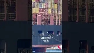 Vibrant MSC Container Ship