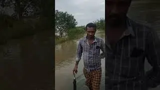 #ap #floods 2023