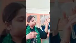Testing Acid radical 🧪🧫#neet2025 #mbbs #funny