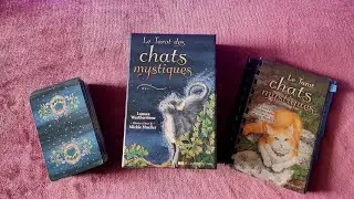 Pr&eacute;sentation du Tarot des chats mystiques 🐾