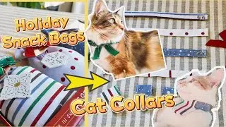 DIY Cat Collar from HOLIDAY SNACK BAGS! 😻 | Easy Pet Craft Tutorial