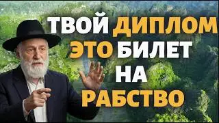 Почему диплом — это чек на ваше рабство?