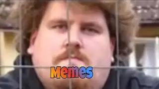 DRACHENLORD MEMES | Satz f&uuml;r Satz bergab 📉