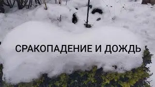🤯😱🤕СРАКОПАДЕНИЕ И ДОЖДЬ.🤯😱В ДОБРЫЙ ПУТЬ!🤯😩