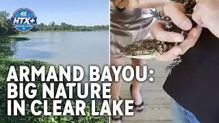 Clear Lake home to largest urban wilderness preserve in US | HTX+