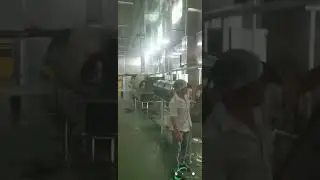 quail egg peeling machine video （Cleaning the entire quail egg boiling and peeling processing line）