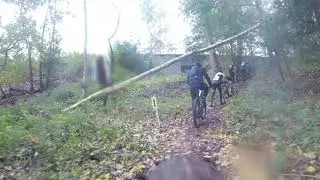 Moese VTT 2019