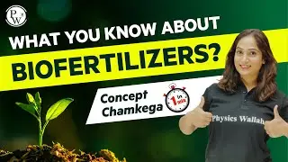 #ConceptChamkega | What are Biofertilizers? | Physics Wallah #Shorts