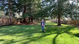 Property Tour | 17703 NE 159th St Brush Prairie, WA 98606