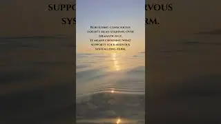 Rebuilding Consciously Is About Nervous System Safety  #awakening