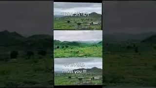 lemelem mert Zoba gash barka