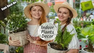 Home Decoration With Plants || GreenLoop All in One Plant Food  Review | Gyan Hindi Me