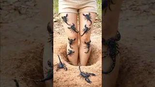 Bushcraft Skills: Clever and Useful idea #bushcraft #camping #outdoors #survival #shorts #clever