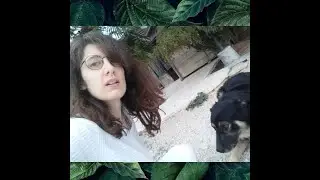 LEGGE ITALIANA SUI CANI AGGRESSIVI