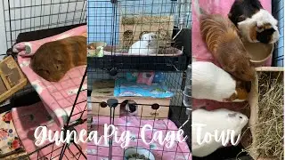 Guinea Pig Cage Tour | C&C cage for 4 Guinea Pigs