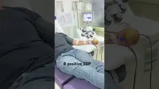 SDP process #medicallaboratorytechnician #bloodcomponents #sdp #transfusion #mbbs