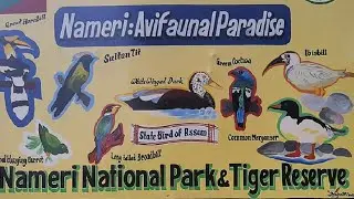 Nameri National Park of Assam