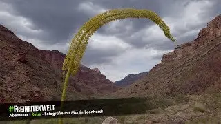 Abenteuer Grand Canyon - 46 Kilometer Wanderung bis zum Colorado River