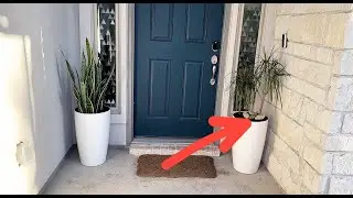 Good Quality? Must Watch Before Buying These Planters! #ad #amazonfinds #affiliate