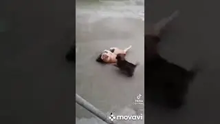 #respect #tiktok