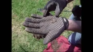 Metal Detecting America Episode 23 1936 Merc Dime