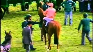 1983 2000 Guineas extended pre race footage Newmarket Lomond