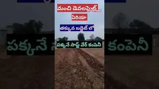 FULL LRS PEAD PLOTS