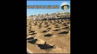 مقطع مؤثر من خطبة الجمعة : للخليفة عمر بن عبد العزيز || الشيخ توفيق بن شعبان