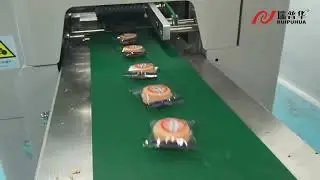 Biscuit Packing Machine