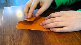 Origami Inside Reverse Fold