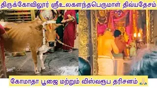 #திருக்கோவிலூர் உலகளந்தபெருமாள் திவ்யதேச கோவில் அதிகாலை விஸ்வரூப தரினம் #thirukovilur Perumal Temple
