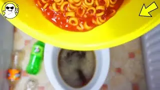 Will it Flush? Lots Of Gross Food Combos #31