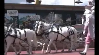 Walt Disney World - Disney Character Hit Parade 1991