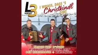 Der Christbaum