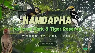 Namdapha National Park & Tiger Reserve &ndash; Hidden Jewel of Arunachal Pradesh I Part - I