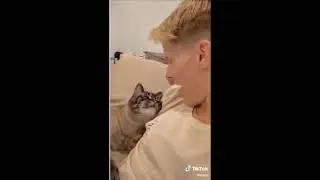 Cat videos for kids short videos 32 | Cat Vines